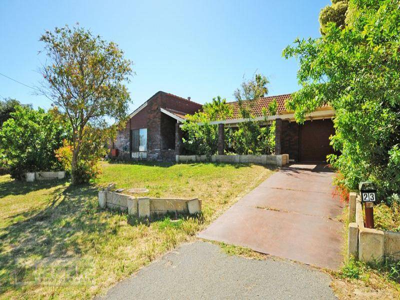 THE STAR ATTRACTION Picture 2