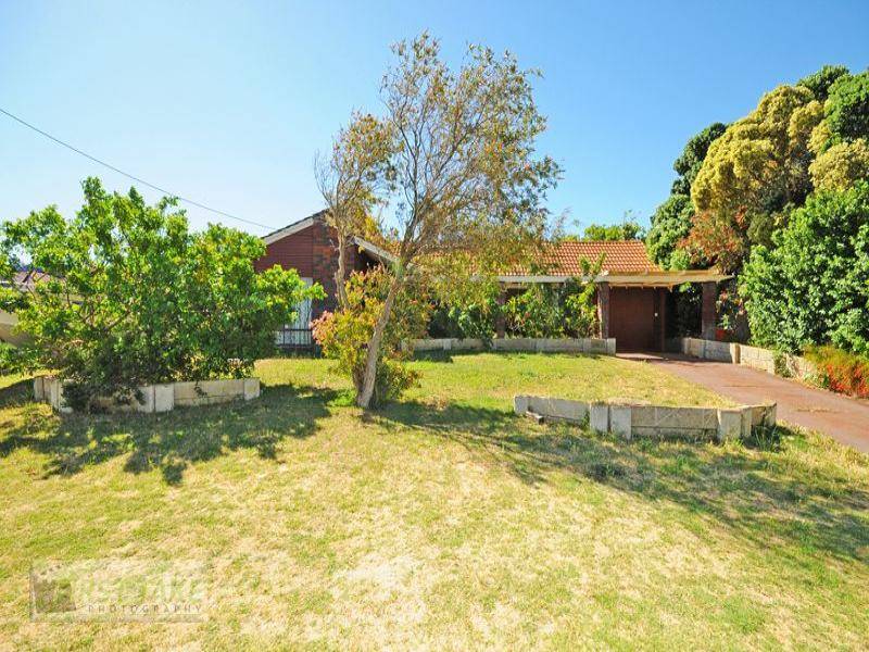 THE STAR ATTRACTION Picture 1