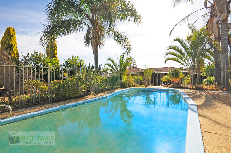 Versatile Purchase Picture 1