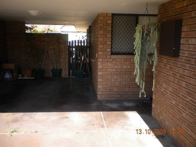 SETTLE IN FOR CHRISTMAS !!!!!!!!!!! Picture