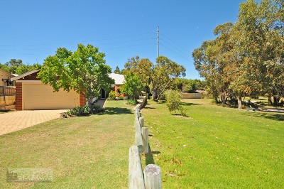 Nature's Own Picture