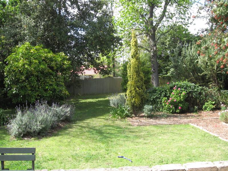 OLD WORLD CHARM Picture 3