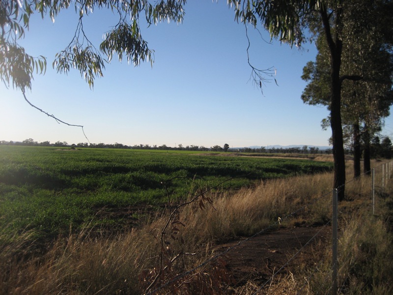 LIVE RURAL - SAVE FUEL Picture