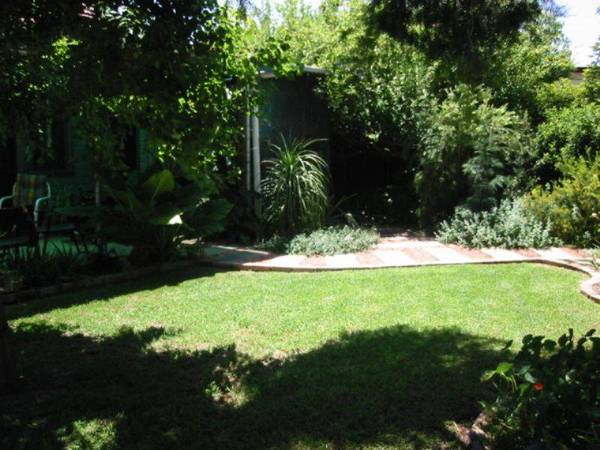 SUMMER DELIGHT Picture SUMMER DELIGHT Picture