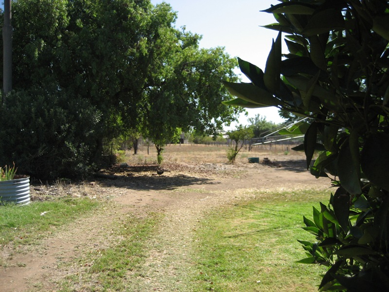 HANDY LOCATION, GREAT VALUE Picture 3