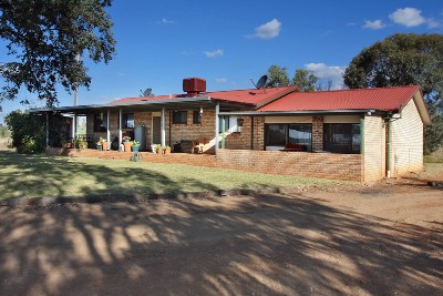 HORSE LOVERS GREAT ESCAPE Picture