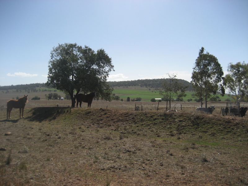 AMAZING, SPECTACULAR, PERFECT & THAT'S JUST THE VIEW ! Picture 1