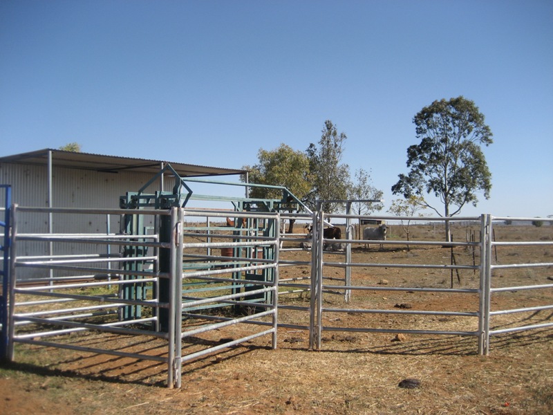 AMAZING, SPECTACULAR, PERFECT & THAT'S JUST THE VIEW ! Picture 2