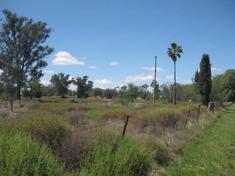 GREAT HORSE BLOCK IN TOWN! Picture 3