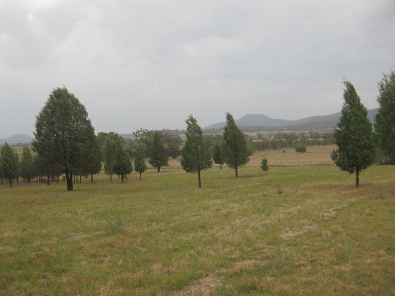 SEE IT TO BELIEVE IT Picture 1