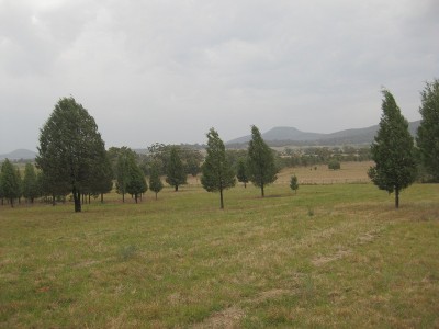 SEE IT TO BELIEVE IT Picture SEE IT TO BELIEVE IT Picture