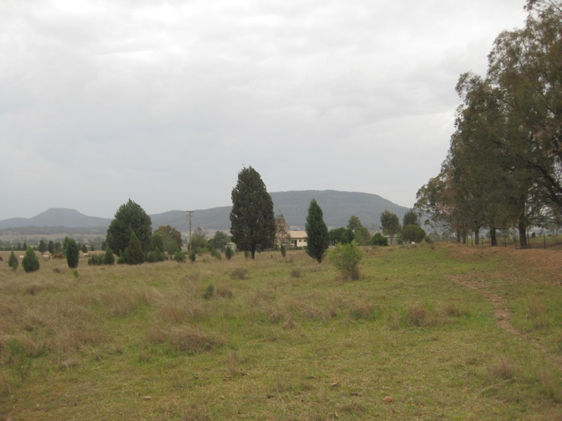 SEE IT TO BELIEVE IT Picture 3