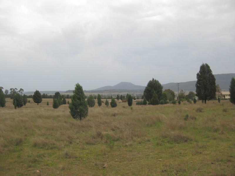 SEE IT TO BELIEVE IT Picture 2