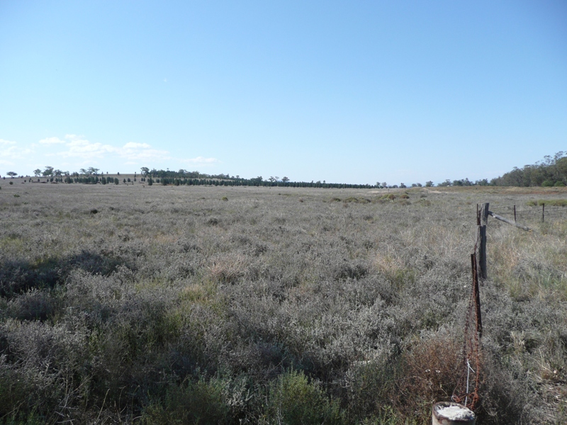 ESCAPE FROM SUBURBIA Picture 3