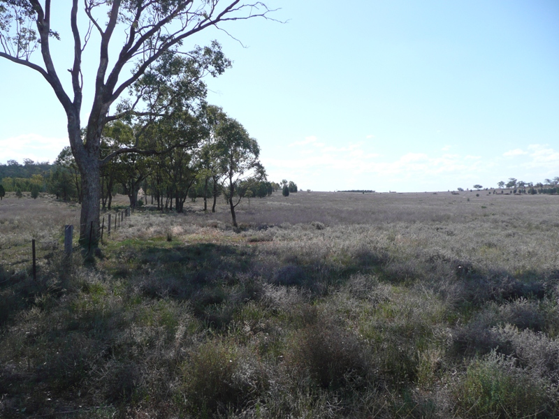 ESCAPE FROM SUBURBIA Picture 2