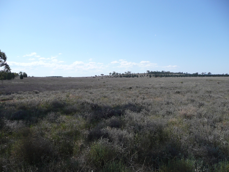 ESCAPE FROM SUBURBIA Picture 1