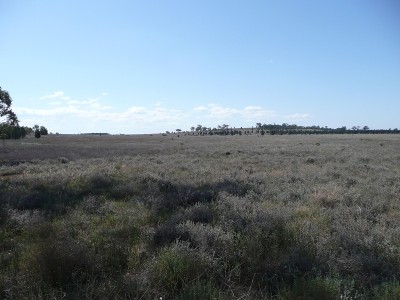 ESCAPE FROM SUBURBIA Picture ESCAPE FROM SUBURBIA Picture