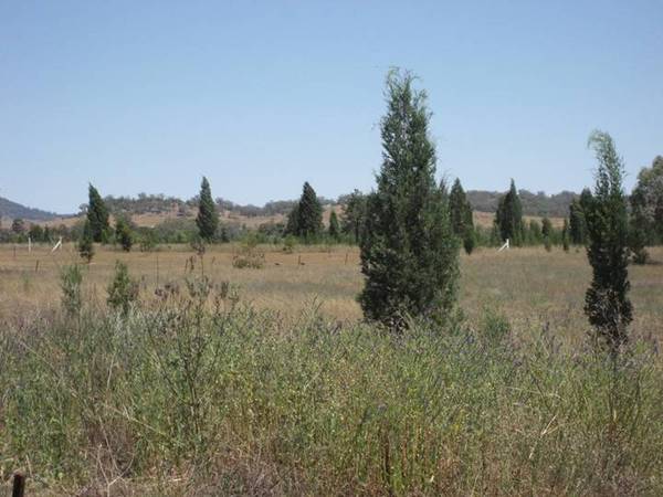 TIME TO BUILD Picture 1