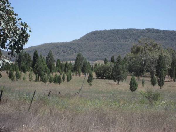 TIME TO BUILD Picture 3