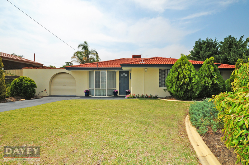 Family Friendly Perfection Picture 1