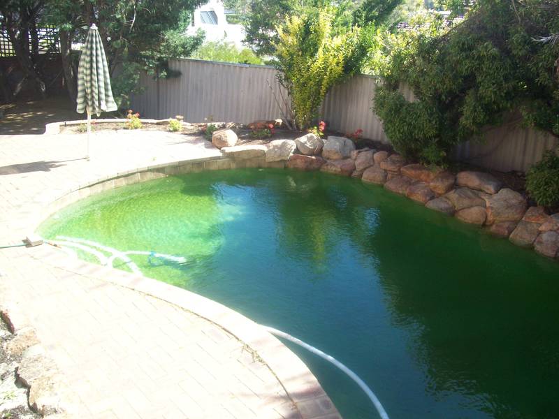 Large family will love this home Picture 2