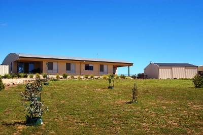 Best of Both Worlds! Picture