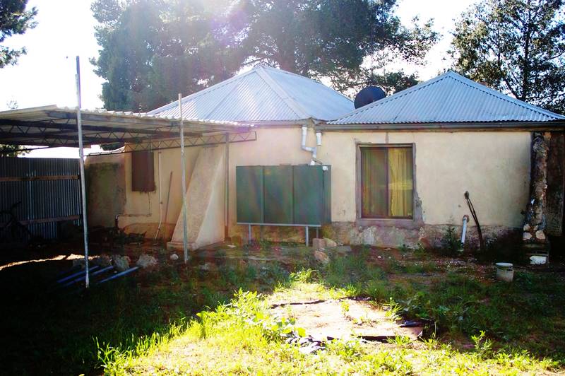 Give Me Some Lovin'! Picture 3