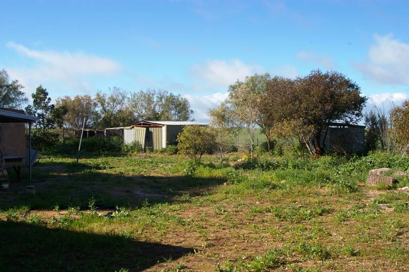 Give Me Some Lovin'! Picture 2