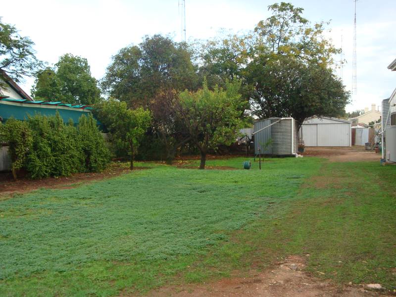 Plenty of Potential! Picture 2