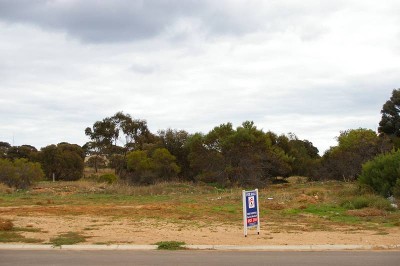 Quality Building Allotment Picture