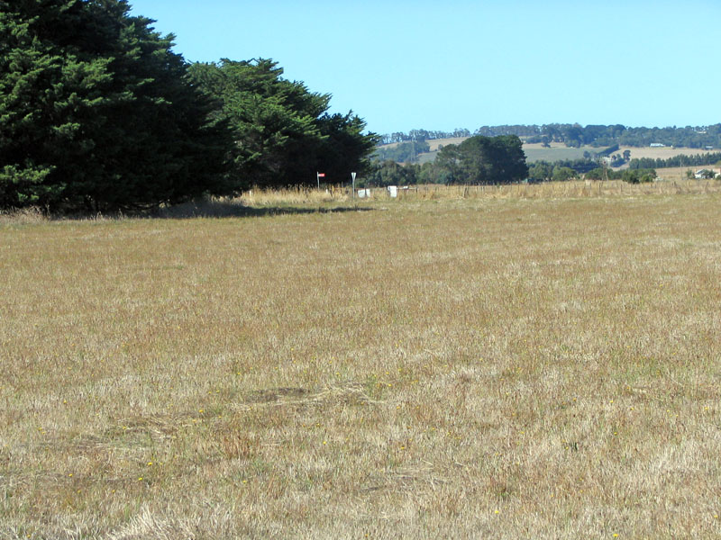 ACRES CLOSE TO TOWN Picture 2