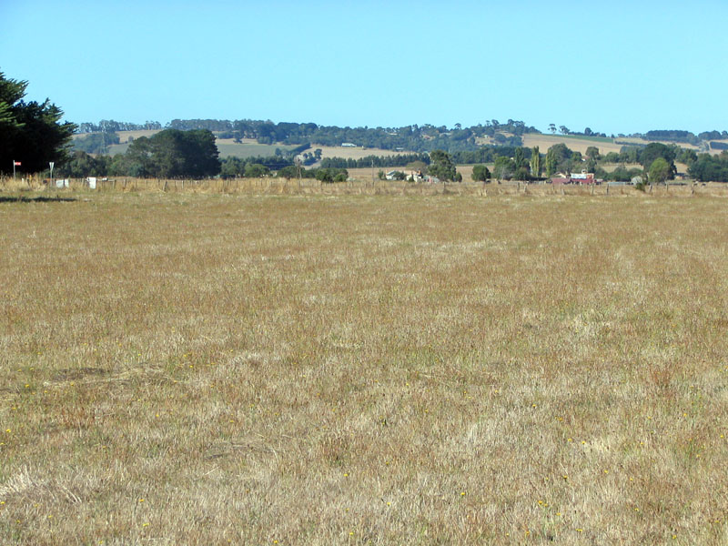 ACRES CLOSE TO TOWN Picture 1