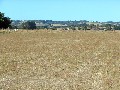 ACRES CLOSE TO TOWN Picture