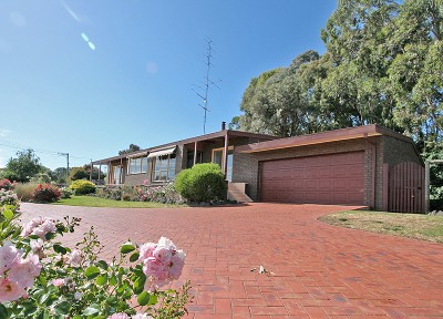 AN EARLY CHRISTMAS PRESENT Picture