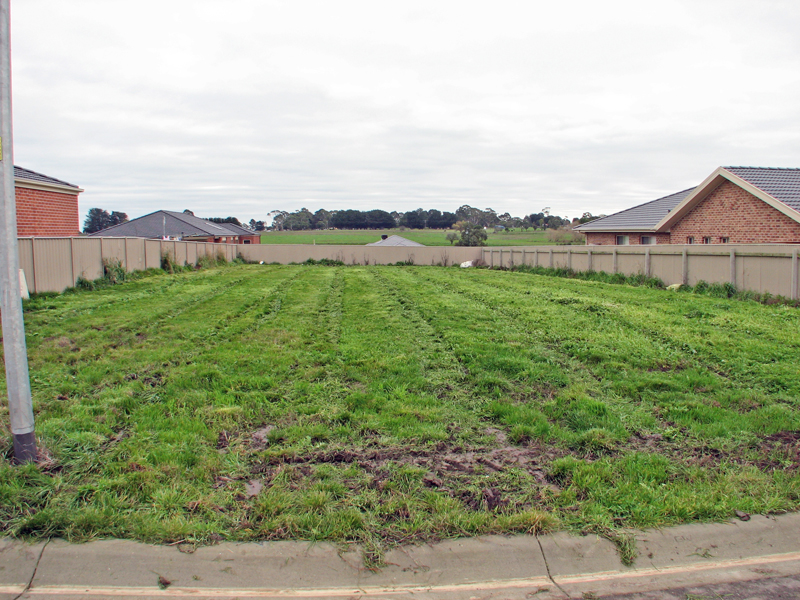 Building Block Picture 1