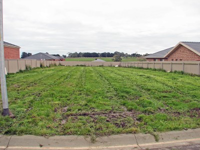 Building Block Picture