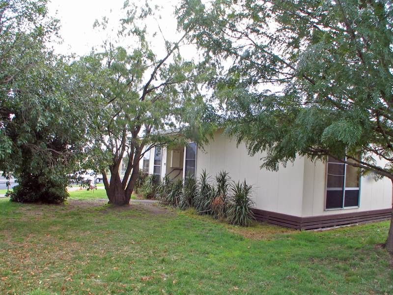 HERE IS A GOOD STARTER Picture 3