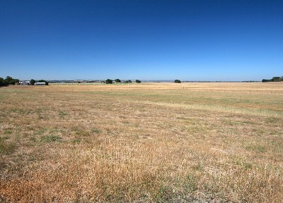 LIFESTYLE BLOCK Picture