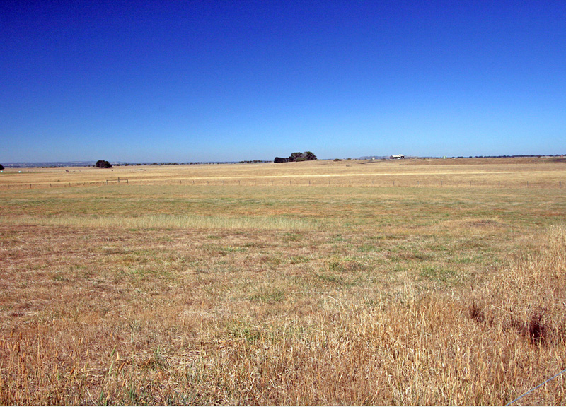 LIFESTYLE BLOCK Picture 3