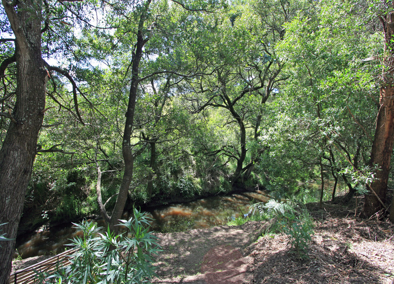 LOVES CREEK PARADISE Picture 2