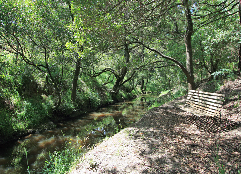 LOVES CREEK PARADISE Picture 1