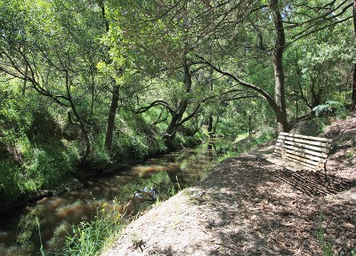 LOVES CREEK PARADISE Picture