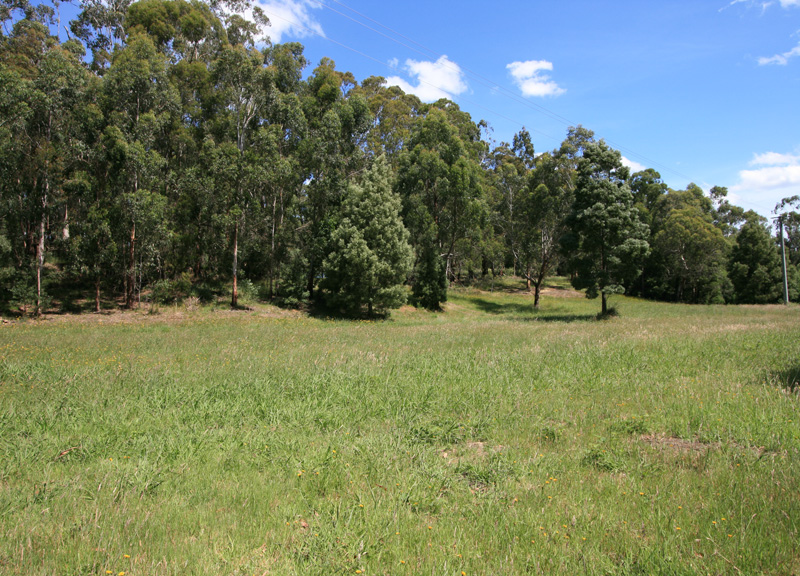 LOVES CREEK PARADISE Picture 3