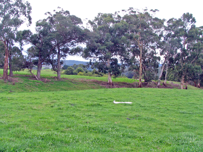 Nestled in the Otways Picture 2