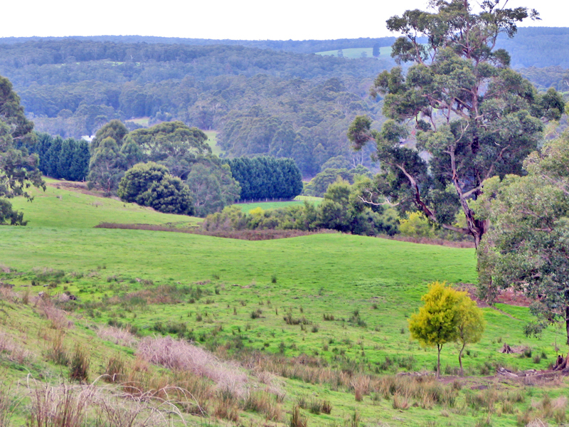 Nestled in the Otways Picture 3