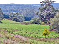Nestled in the Otways Picture