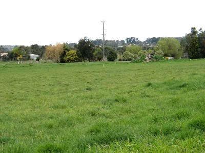 NEWLY CREATED DONLIE ESTATE SUBDIVISION Picture