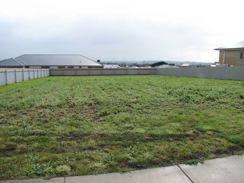 This is the one! Picture 1