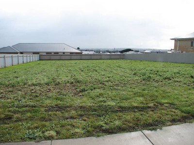 This is the one! Picture