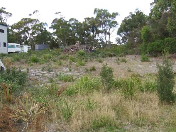 Bargain Buy!
GreensBeach
$89,000 Firm. Picture 1